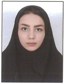 مریم رئیس شهرکی